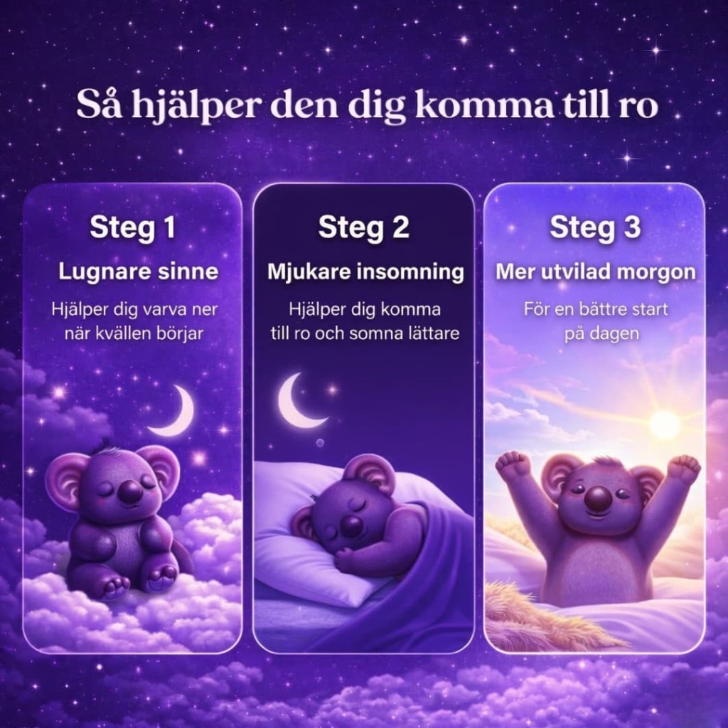 Koala Ritual Sleep Gummies 4